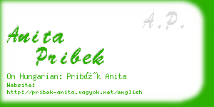 anita pribek business card